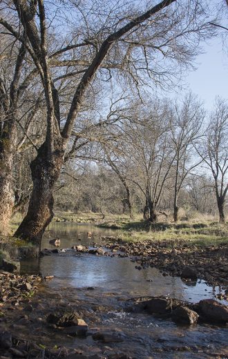 Reserva Fluvial Rio Milagro 1